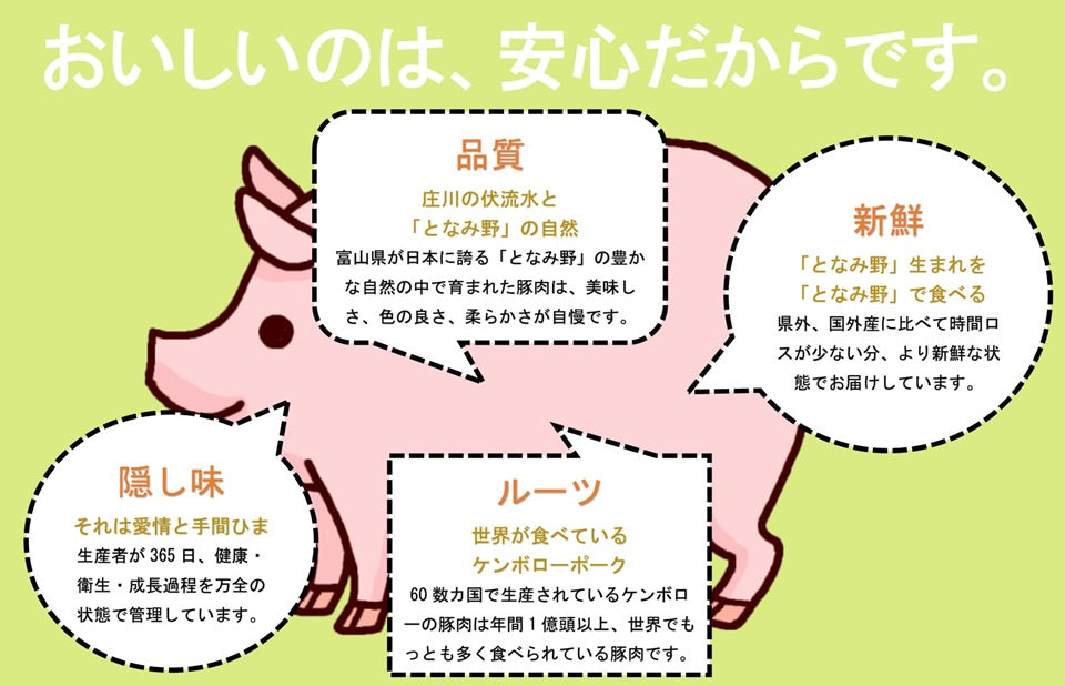 <2~3名様用> 【豊かな旨味が魅力】 たかはたポーク ロース (豚しゃぶ・生姜焼き用)