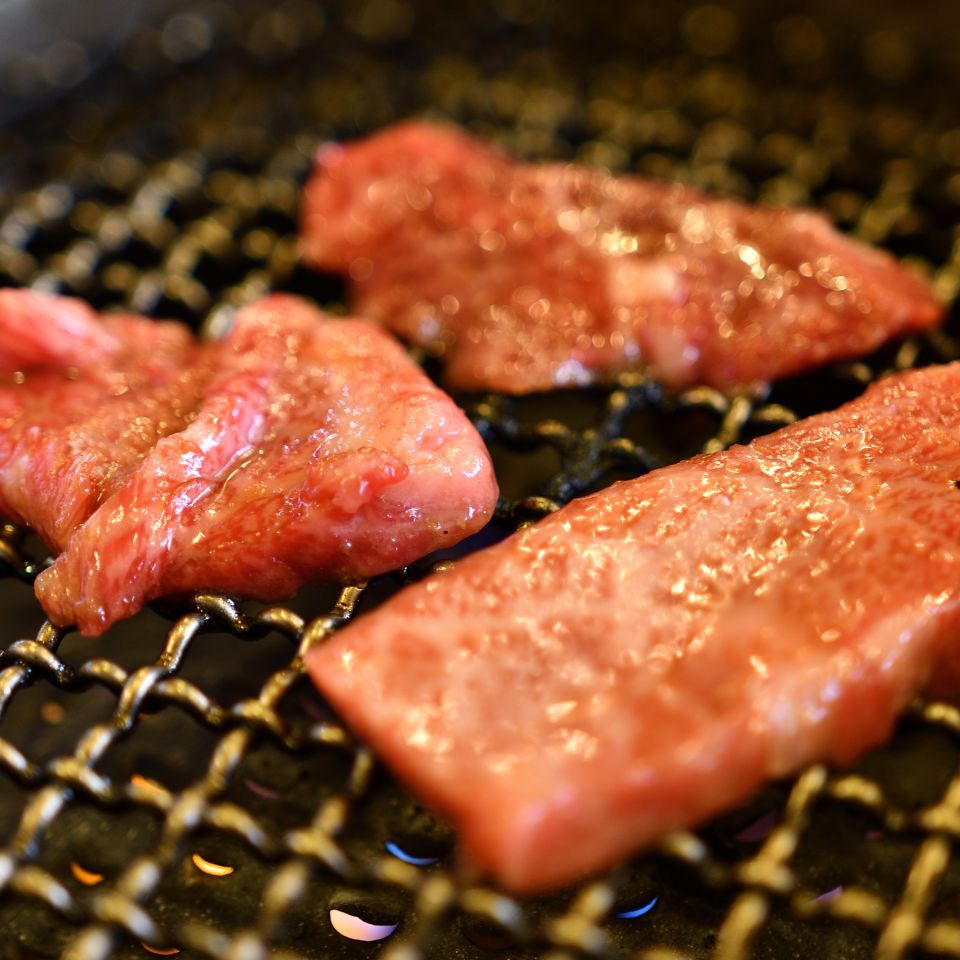 【ブランド和牛だけ！】 《A-5ランク》 とやま和牛酒粕育ち 特選和牛焼肉セット