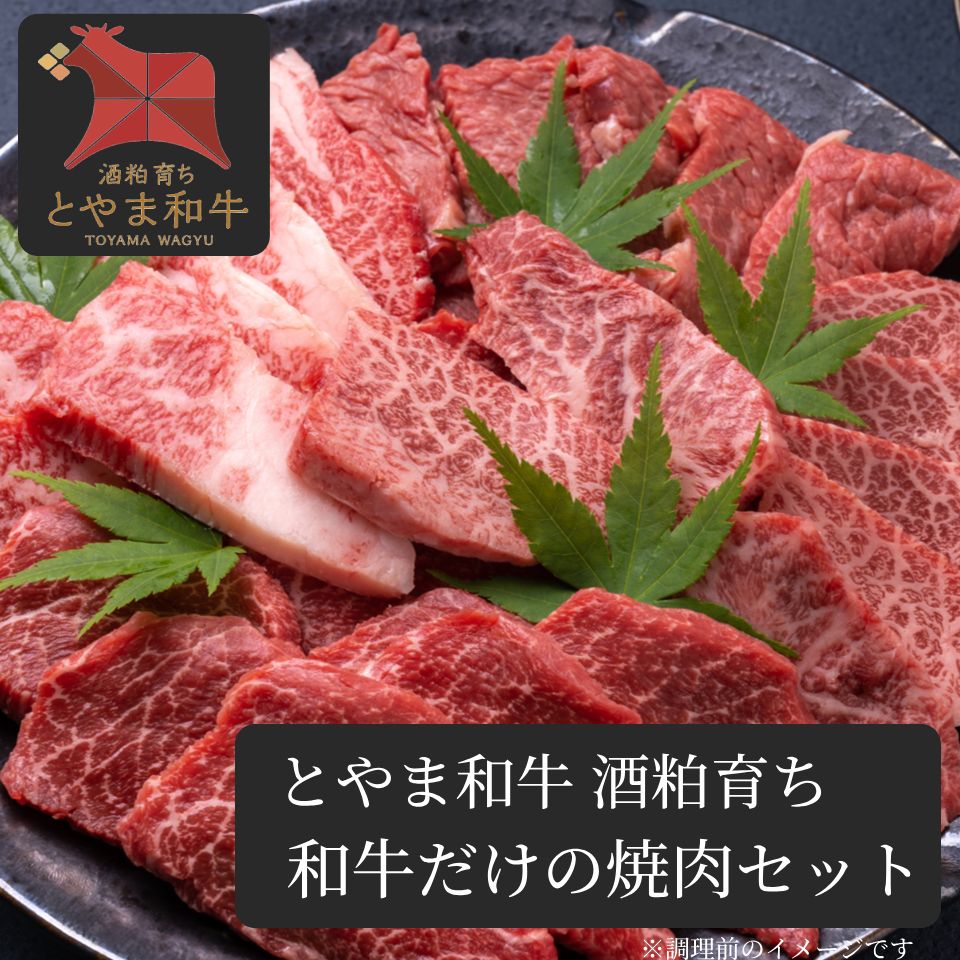 【ブランド和牛だけ！】 《A-5ランク》 とやま和牛酒粕育ち 特選和牛焼肉セット