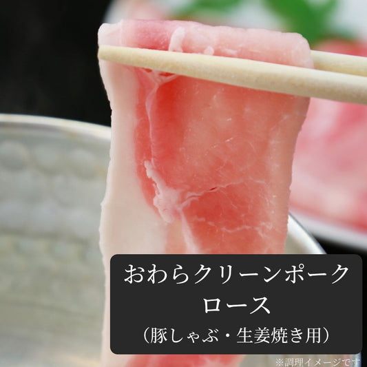 【脂肪が少ない豚肉】 おわらクリーンポーク ロース (豚しゃぶ・生姜焼き用)
